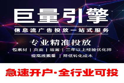 某行业领军企业的SEM广告投放策略